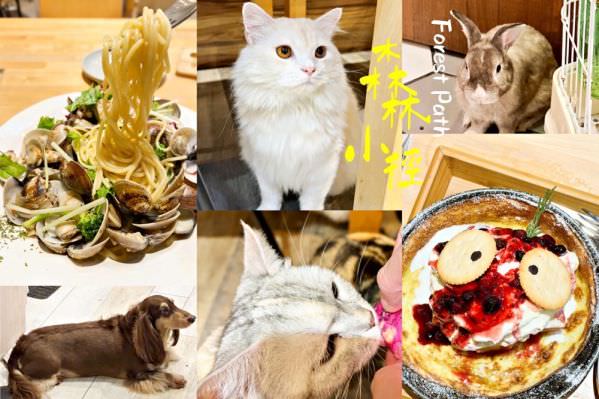 森林小徑文心店对宠物超友善